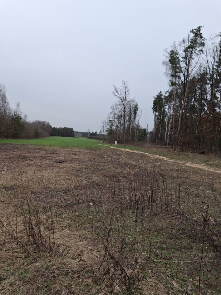 Działka budowlana Szadki. Zdjęcie 1