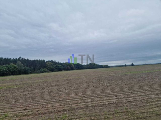 Działka budowlana Nowy Dwór. Zdjęcie 6