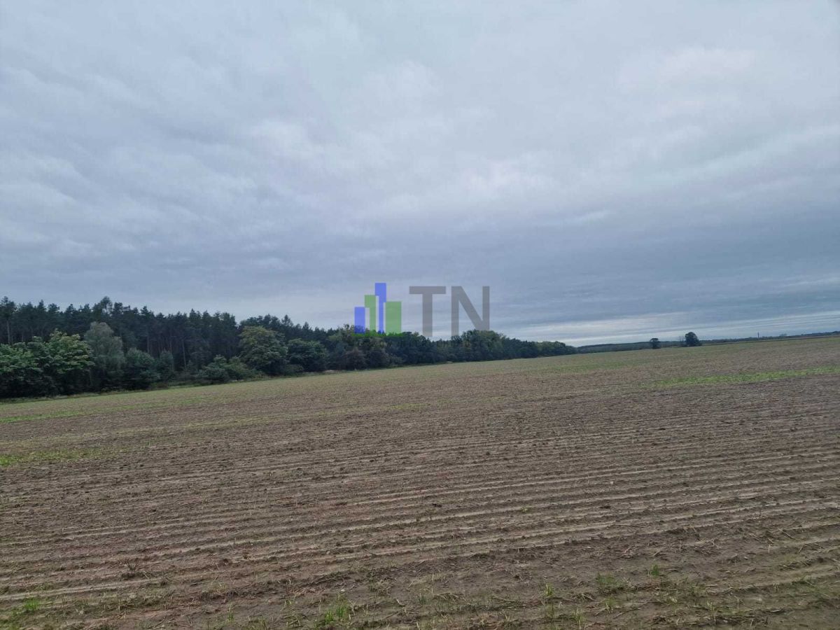 Działka budowlana Nowy Dwór. Zdjęcie 6