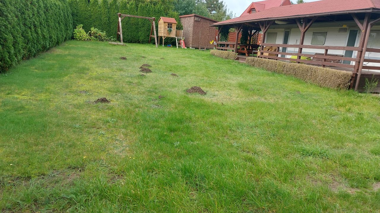 Działka rolna Oświno, Aleja Sosnowa. Zdjęcie 4