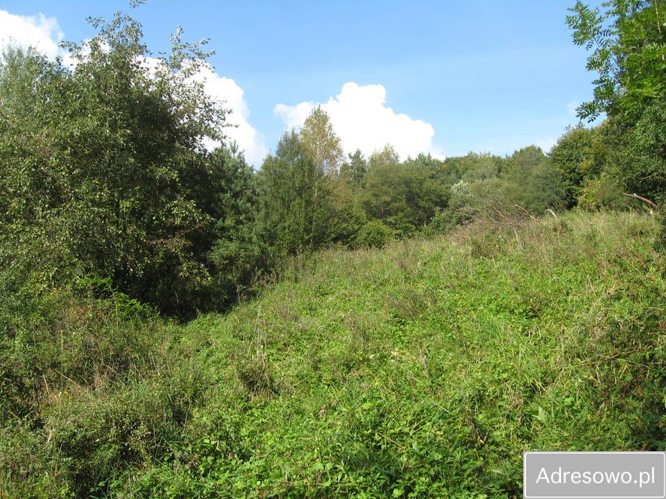 Działka rolna Kąty. Zdjęcie 6