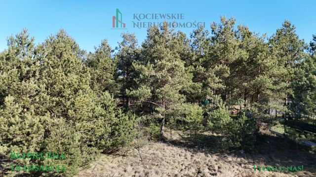 Działka budowlana Stara Kiszewa. Zdjęcie 10