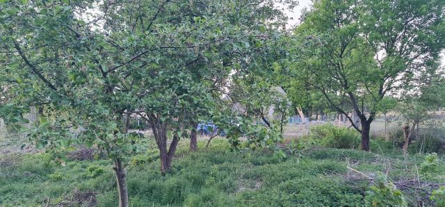 Działka rolna Kąciki. Zdjęcie 1