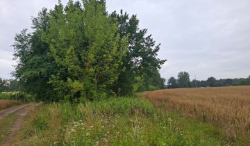 Działka budowlana Glinianka