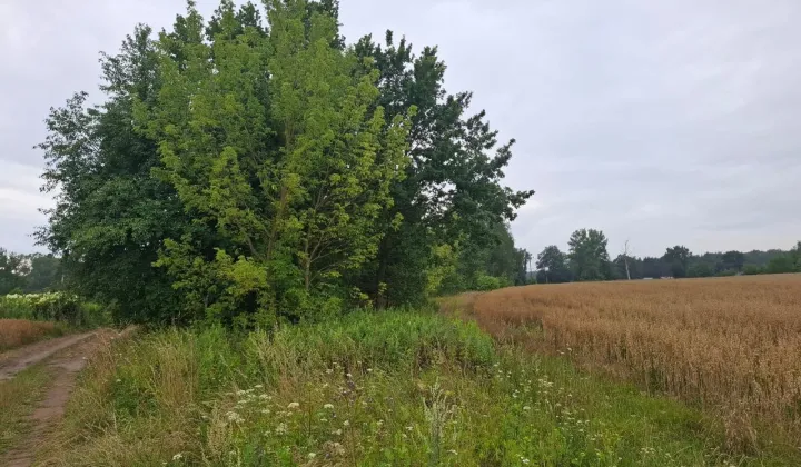 Działka budowlana Glinianka