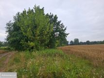 Działka budowlana Glinianka