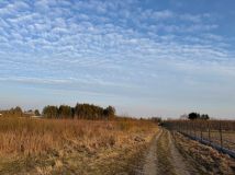 Działka rolna Kawęczyn