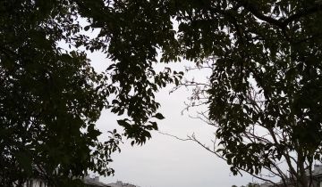 dom szeregowy, 3 pokoje Józefosław