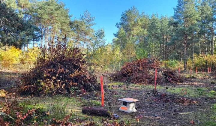 Działka budowlana Skierniewice, ul. Mandarynkowa