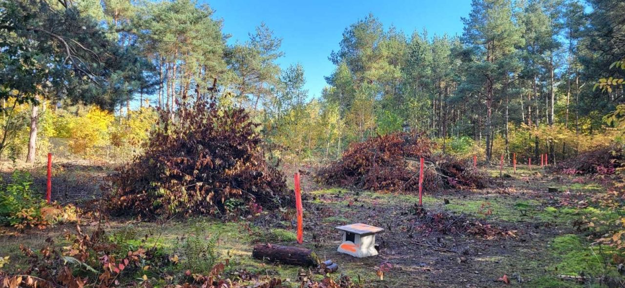Działka budowlana Skierniewice, ul. Mandarynkowa