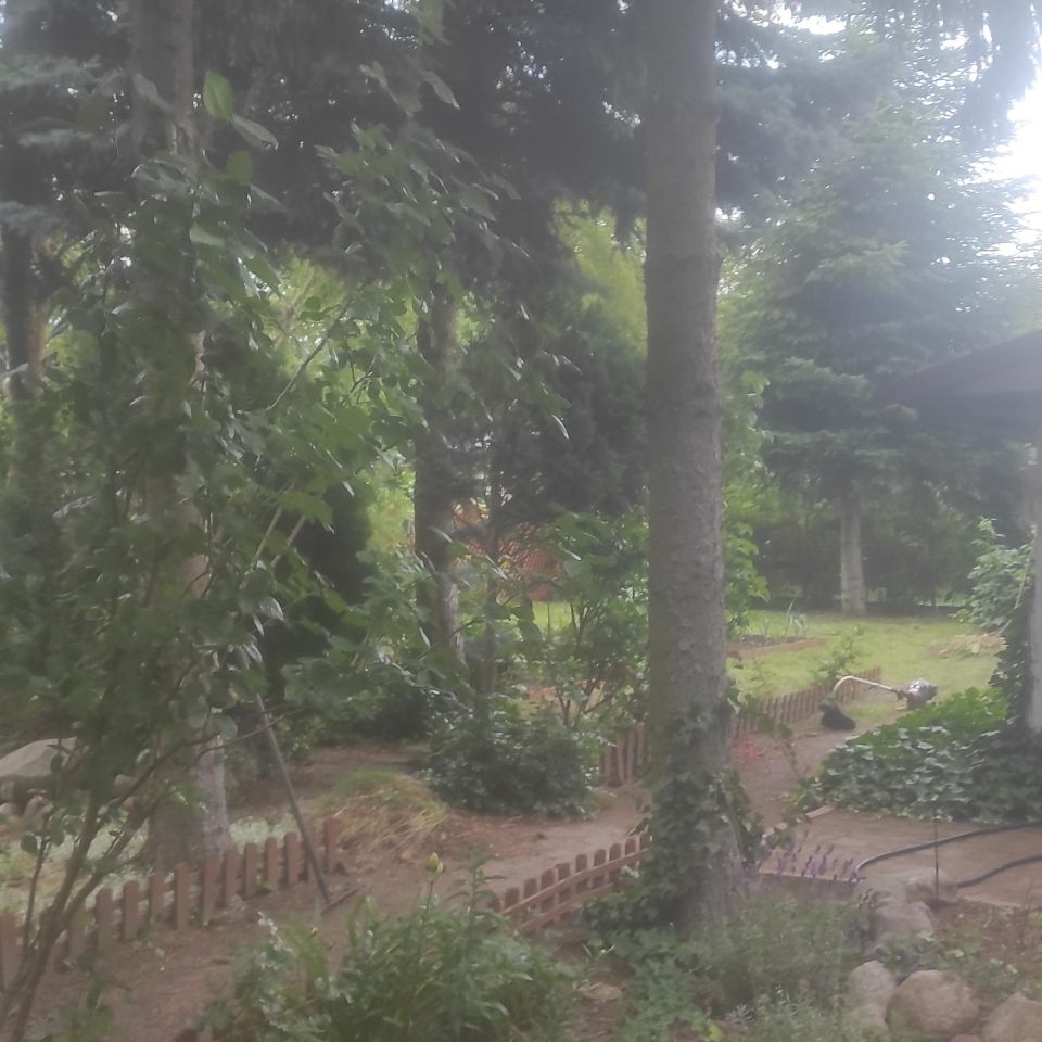 Działka rekreacyjna Słodków. Zdjęcie 6