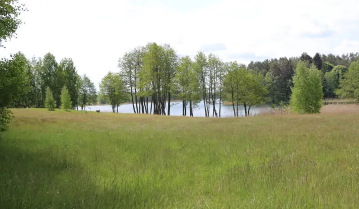 Działka rolna Dobra Wola