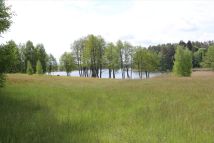 Działka rolna Dobra Wola. Zdjęcie 1