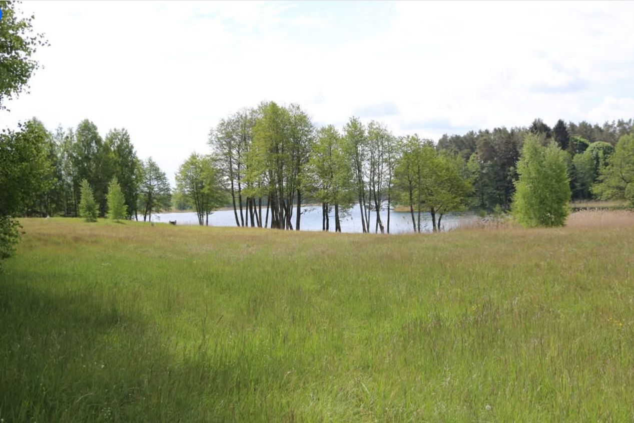 Działka rolna Dobra Wola. Zdjęcie 2