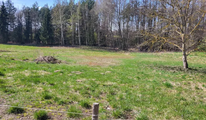 Działka budowlana Książki, Książki