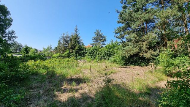 Działka rekreacyjna Demlin, Demlin. Zdjęcie 1