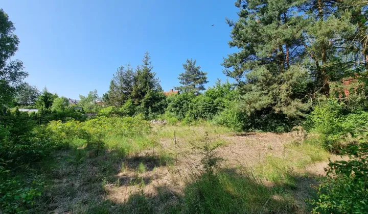 Działka rekreacyjna Demlin, Demlin