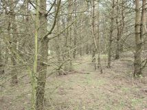 Działka leśna Ruś. Zdjęcie 3