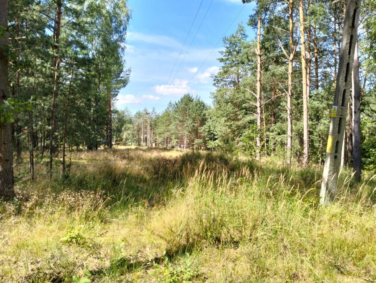 Działka budowlana Łośno. Zdjęcie 6