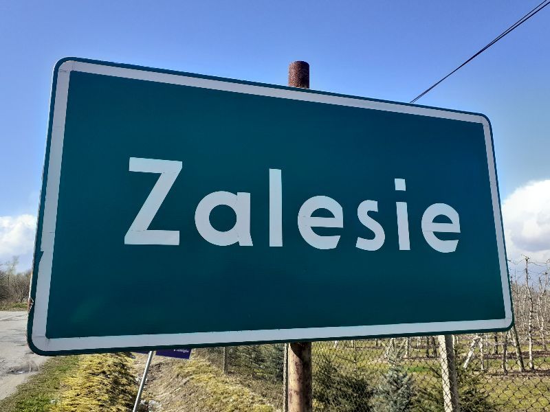 Działka siedliskowa Zalesie. Zdjęcie 2