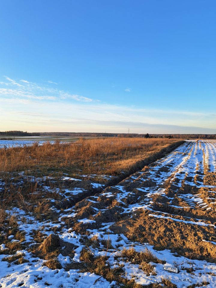 Działka budowlana Wierzbica-Osiedle, ul. Jarzębinowa. Zdjęcie 2