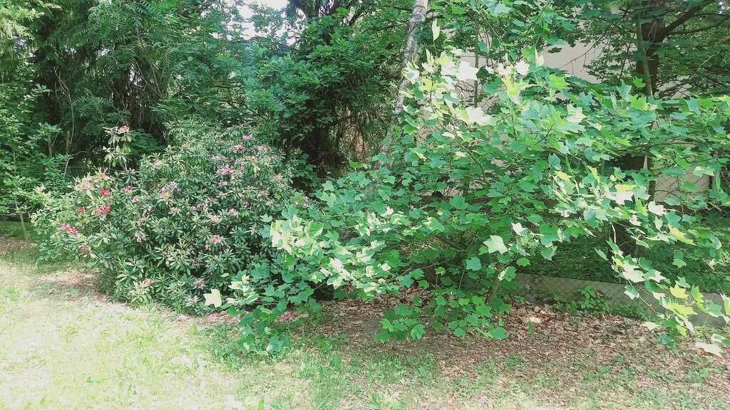 Działka budowlana Złotokłos. Zdjęcie 11
