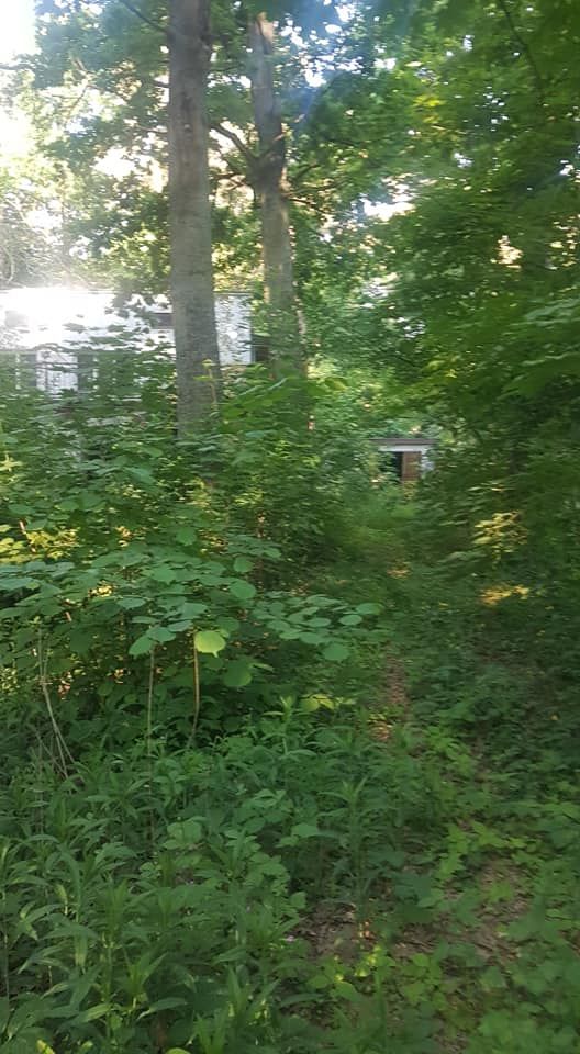 Działka budowlana Zalesie Górne, ul. Młodych Wilcząt. Zdjęcie 3