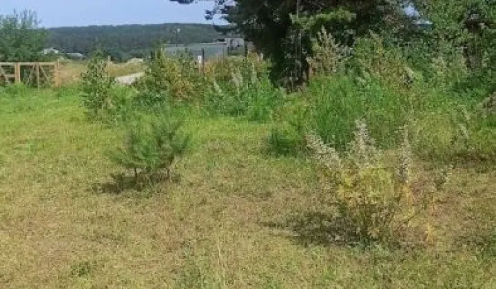 Działka budowlana Bojano, ul. Rzemieślnicza