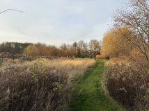 Działka rolno-budowlana Poskwitów Stary Poskwitów, ul. Na Błonia. Zdjęcie 1