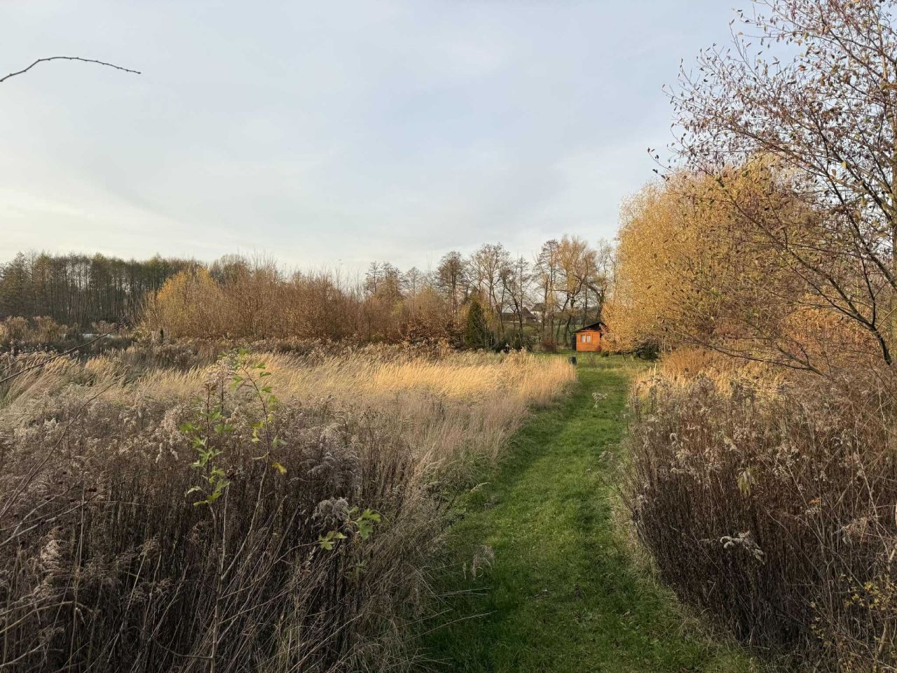 Działka rolno-budowlana Poskwitów Stary Poskwitów, ul. Na Błonia. Zdjęcie 2
