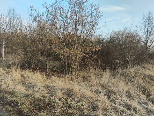 Działka budowlana Łódź Widzew. Zdjęcie 1