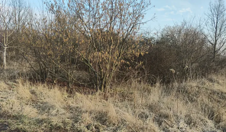 Działka budowlana Łódź Widzew