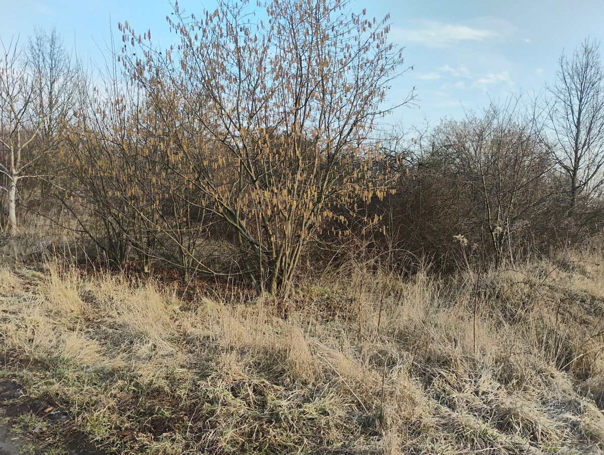 Działka budowlana Łódź Widzew. Zdjęcie 1