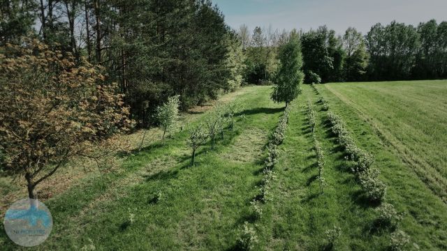 Działka budowlana Tłuszcz. Zdjęcie 1