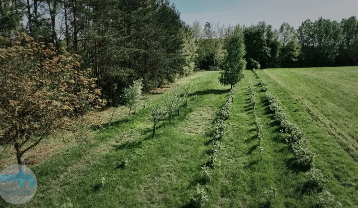 Działka budowlana Tłuszcz