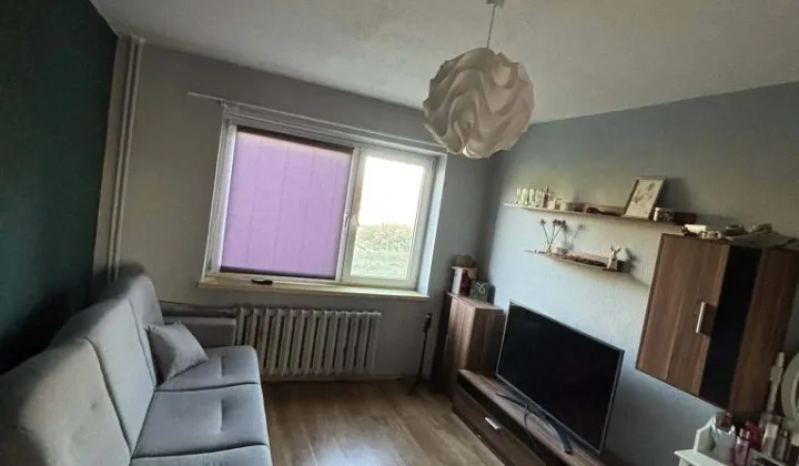 Mieszkanie 3-pokojowe Witkowice