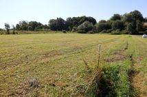 Działka rolno-budowlana Zamarski Pasieki, ul. Pasieki. Zdjęcie 3