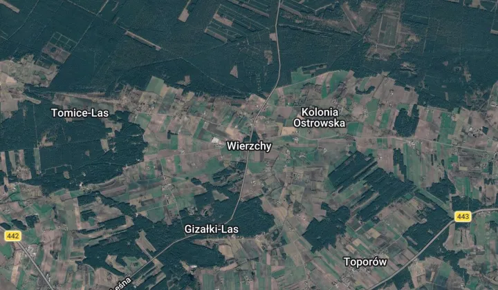 Działka rolna Wierzchy