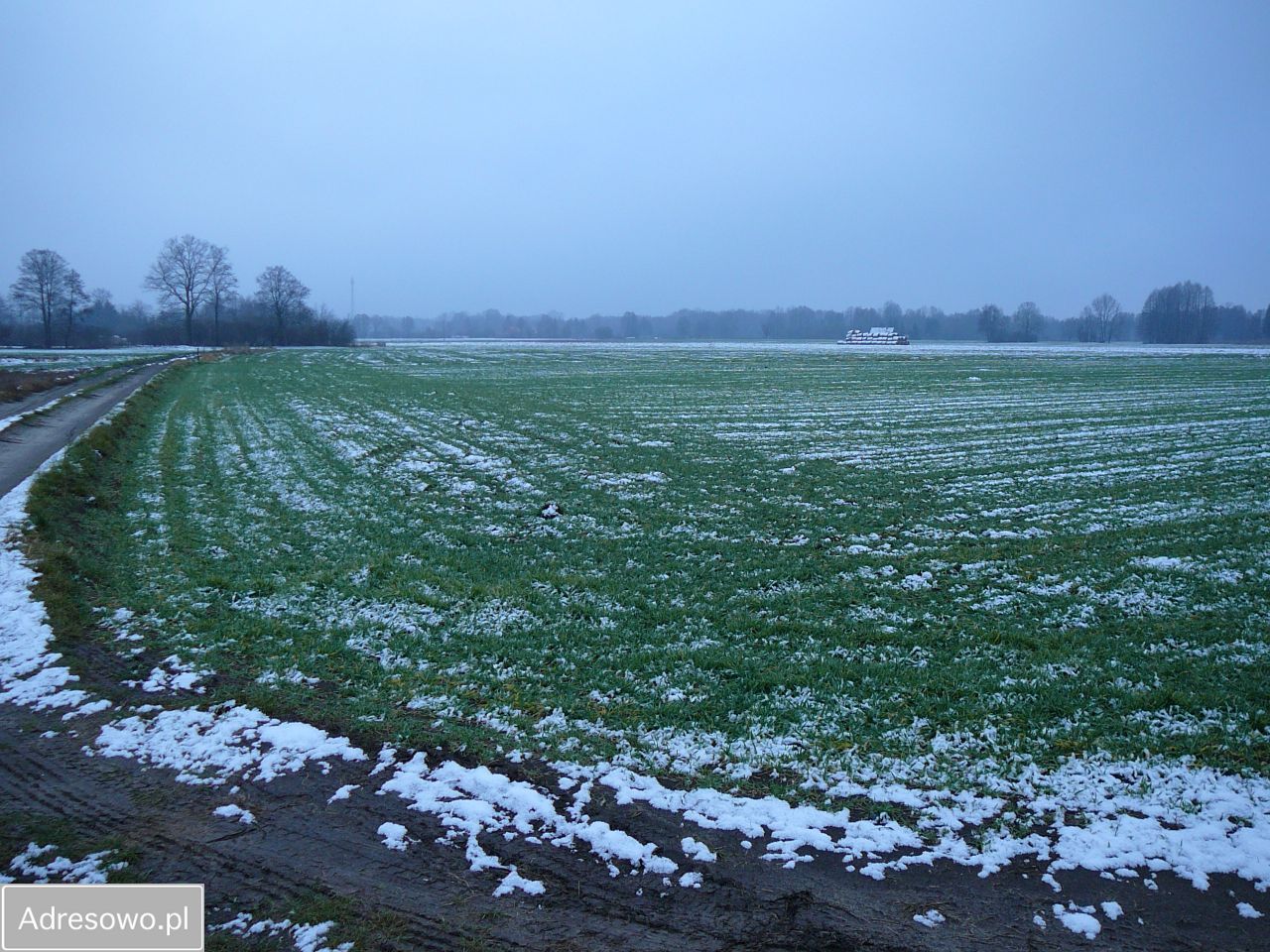 Działka rolno-budowlana Nowe Jastrzębsko. Zdjęcie 6