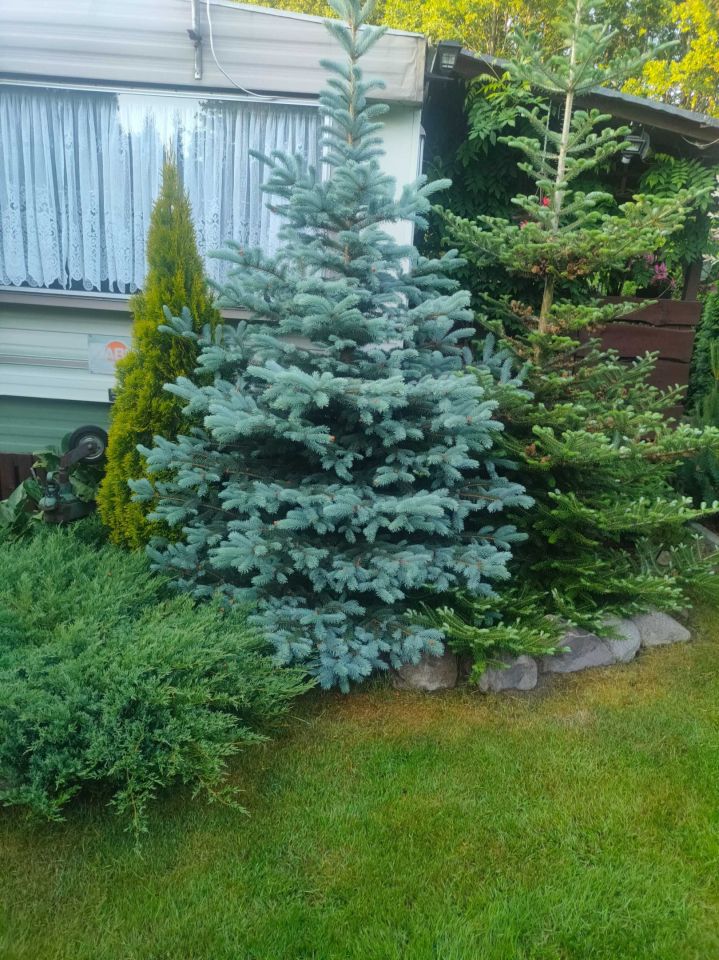 Działka rekreacyjna Dobrzyki. Zdjęcie 5