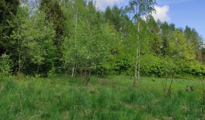 Działka budowlana Pomlewo, ul. Jodłowa