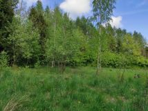 Działka budowlana Pomlewo, ul. Jodłowa