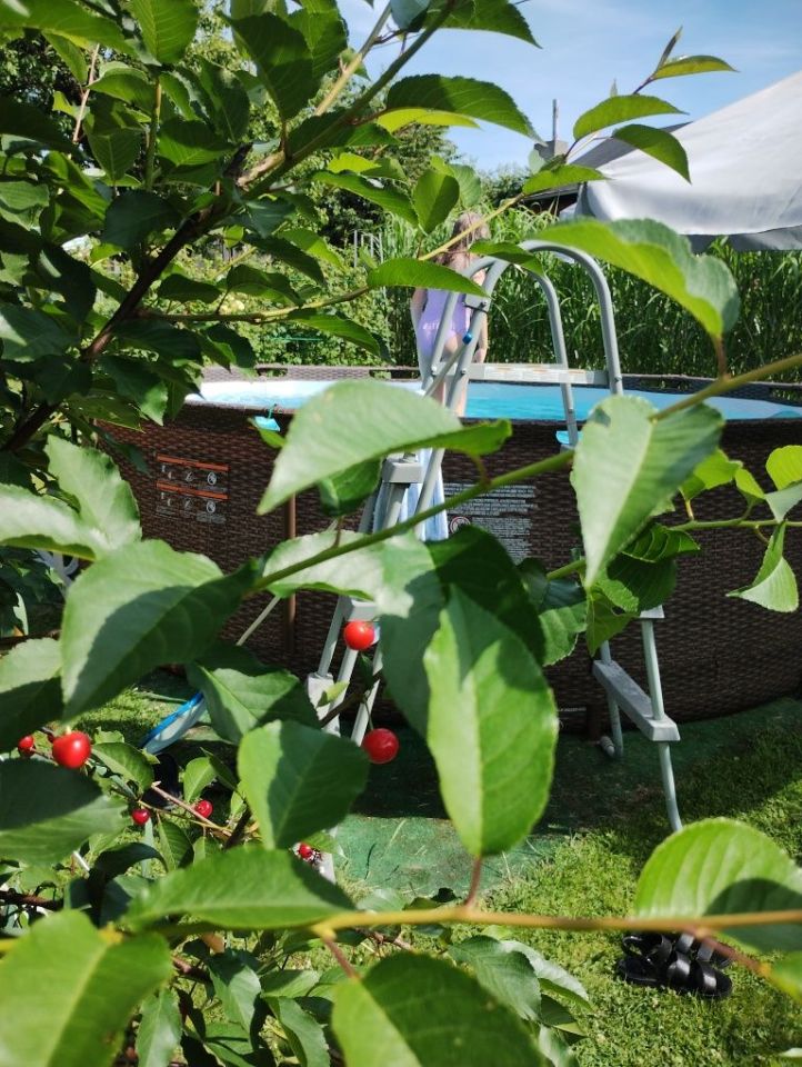 Działka rod Jastrzębie-Zdrój, ul. Rotmistrza Pileckiego. Zdjęcie 8