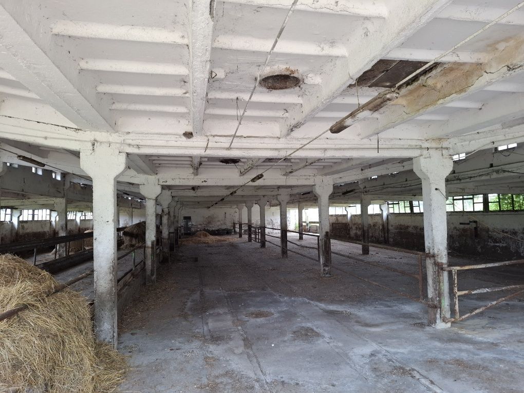 Działka rolna Lubin Bielica. Zdjęcie 7