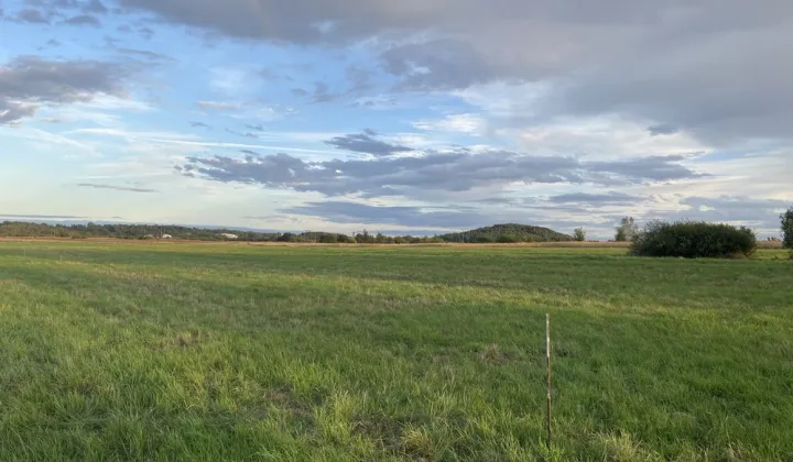 Działka budowlana Częstochowa Błeszno, ul. Korkowa