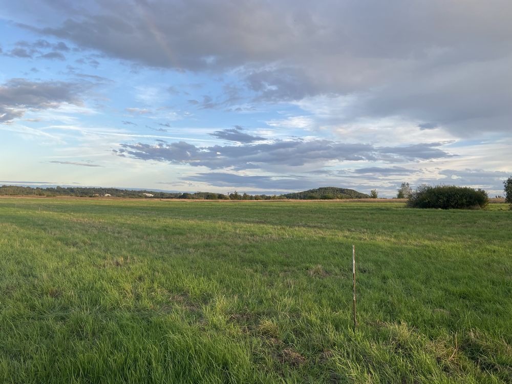 Działka budowlana Częstochowa Błeszno, ul. Korkowa. Zdjęcie 1