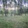 Działka rekreacyjna Kępiaste. Zdjęcie 4