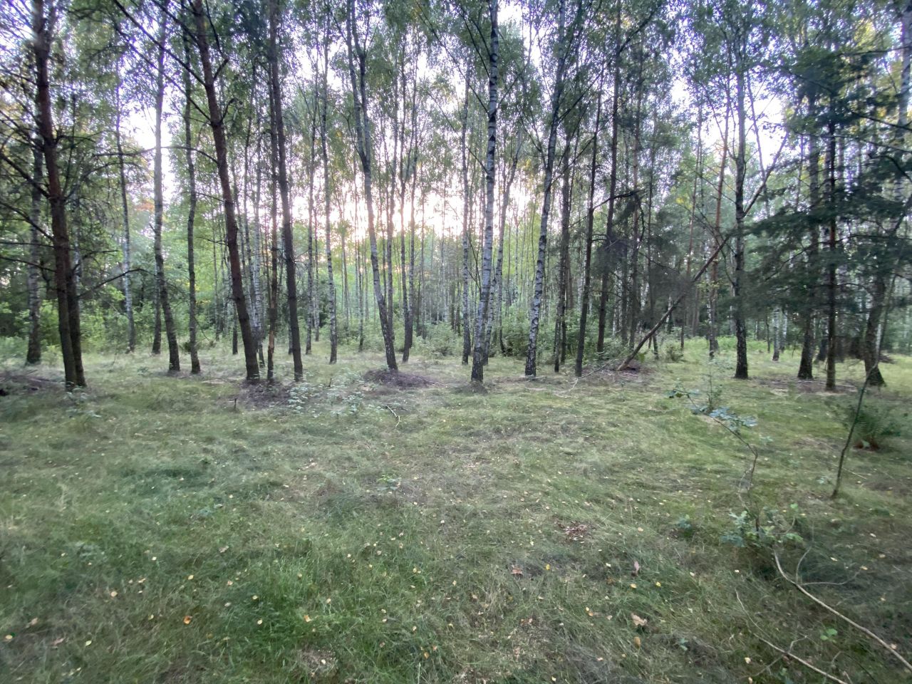 Działka rekreacyjna Kępiaste. Zdjęcie 4