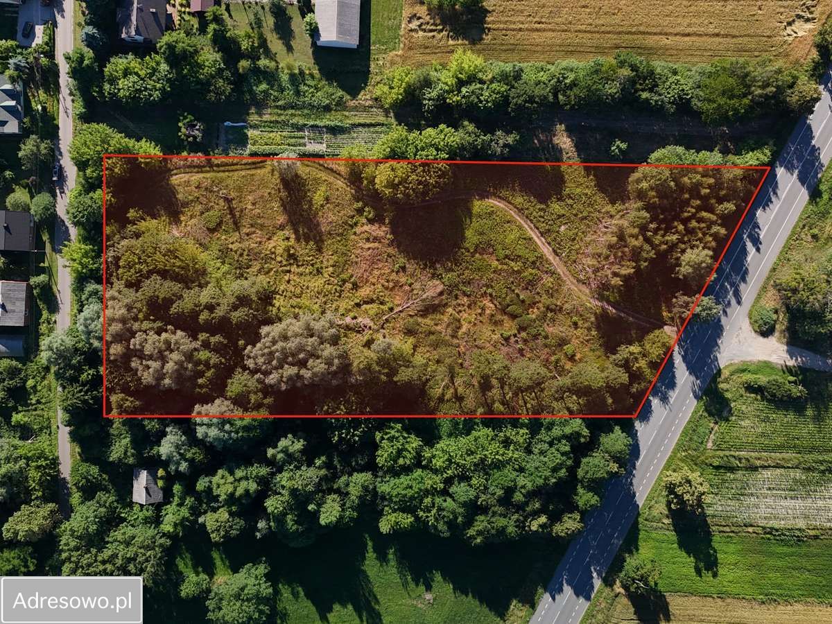 Działka inwestycyjna Chrząchówek. Zdjęcie 5