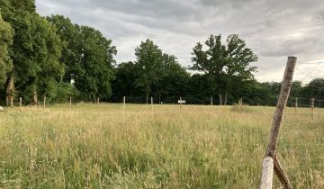 Działka budowlana Trzebiechów